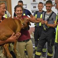 Rettung von Tieren will gelernt sein